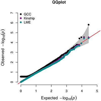 Global Gene Expression Profiling and Transcription Factor Network Analysis of Cognitive Aging in Monozygotic Twins